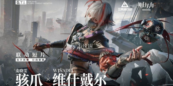 网1