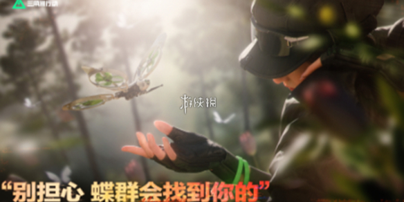 网1