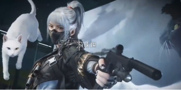 网1