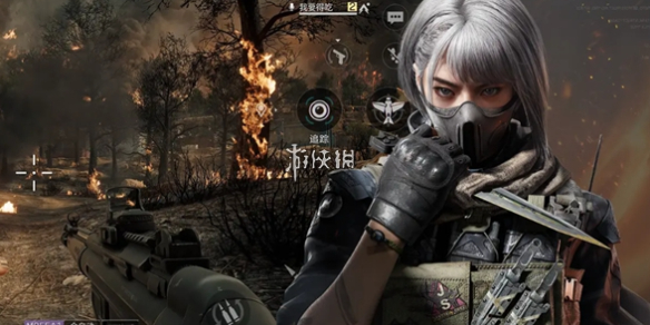 网1