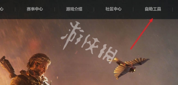 网2