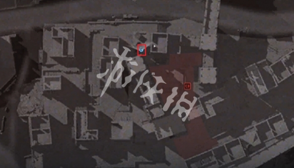 网6