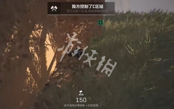 网11