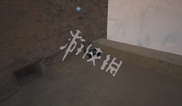网5