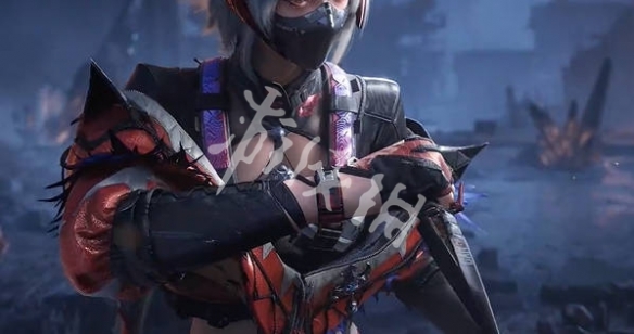 网6