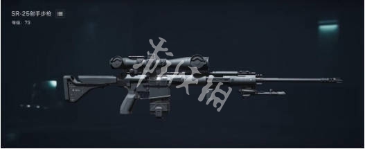 网5