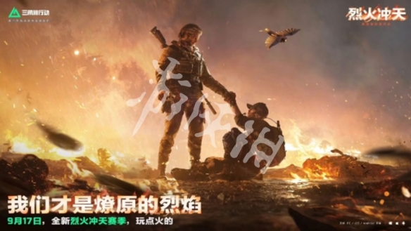 网2