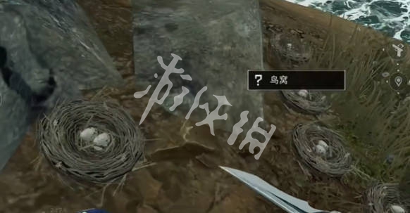 网3