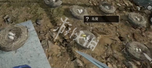 网5