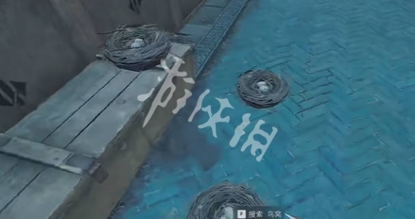 网5