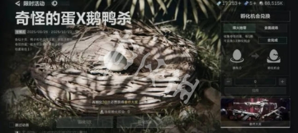 网2