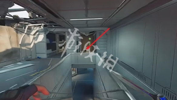 网24
