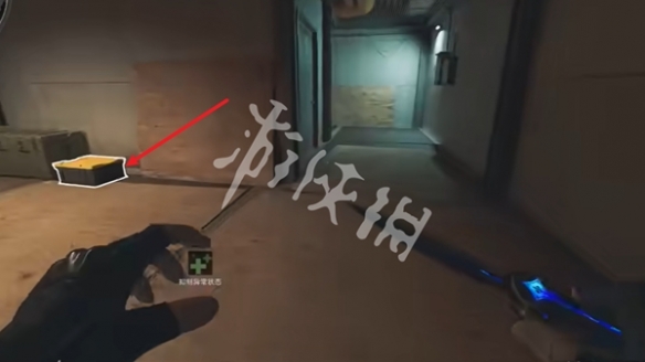 网5