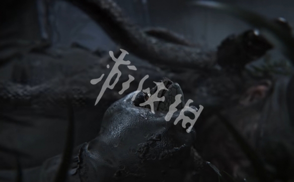 网2