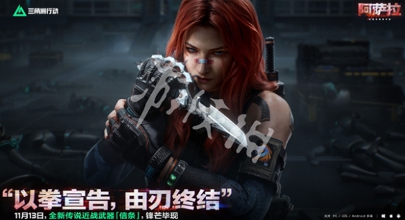 网4