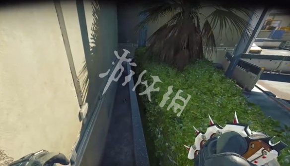 网6