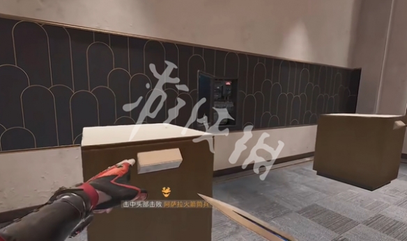 网11