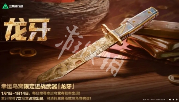 网2