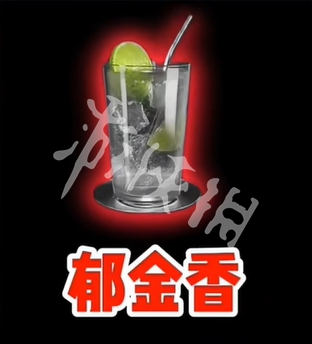 网6