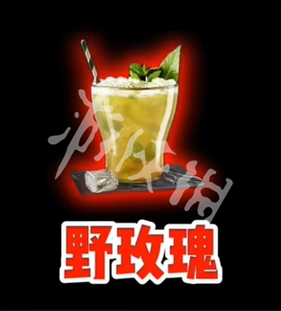 网11