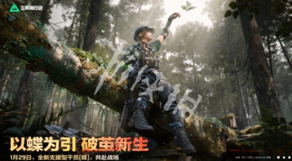 网3