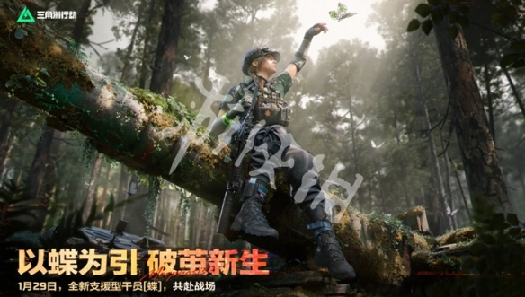 网2