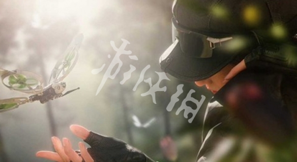 网2