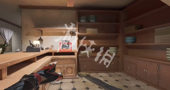 网5