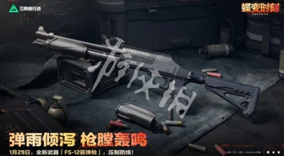 网4