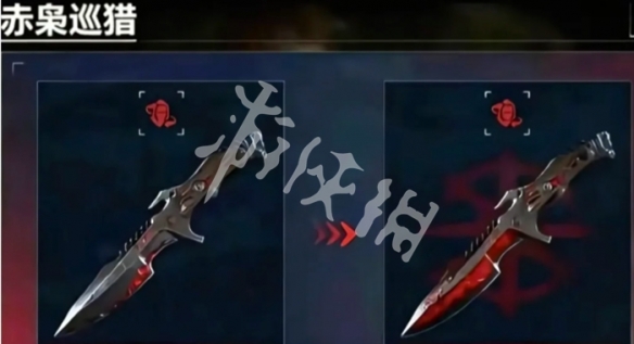 网3
