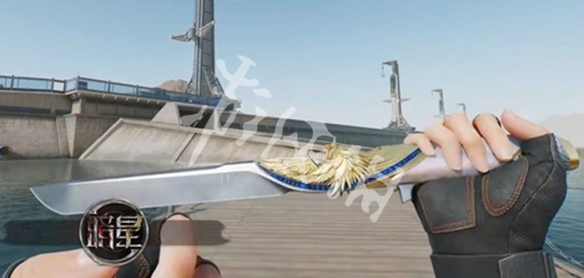 网2