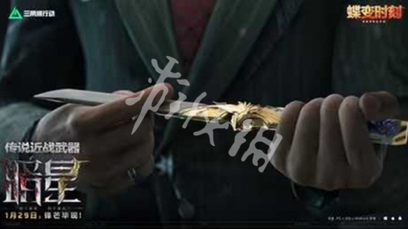 网3