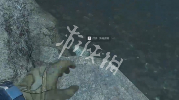 网3
