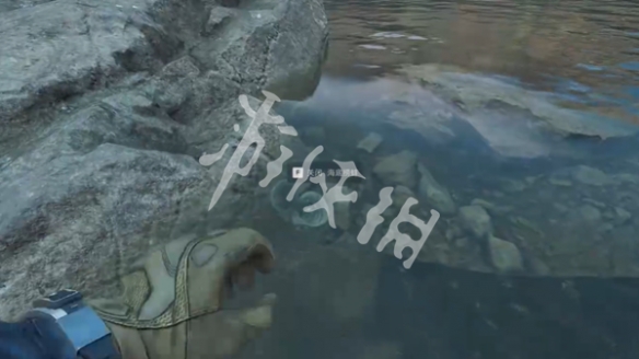 网4