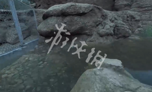 网5