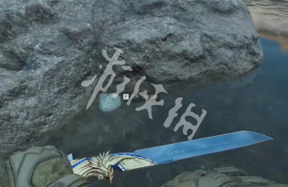 网6