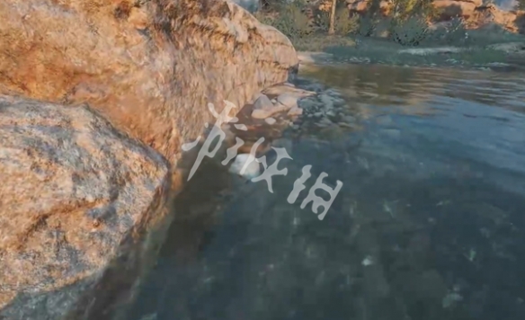 网7
