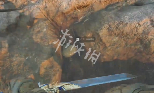 网4