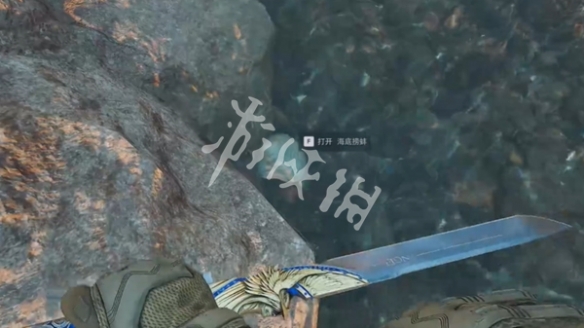 网5