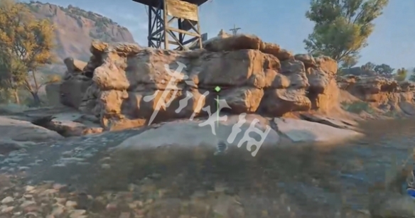 网11