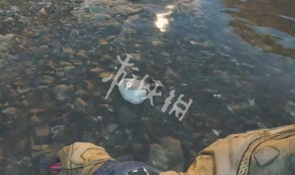 网9