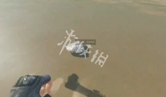 网5