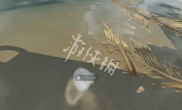 网1