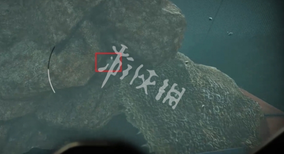 网10