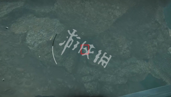 网9