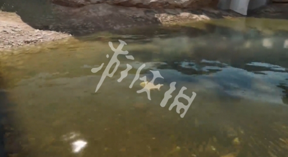 网3
