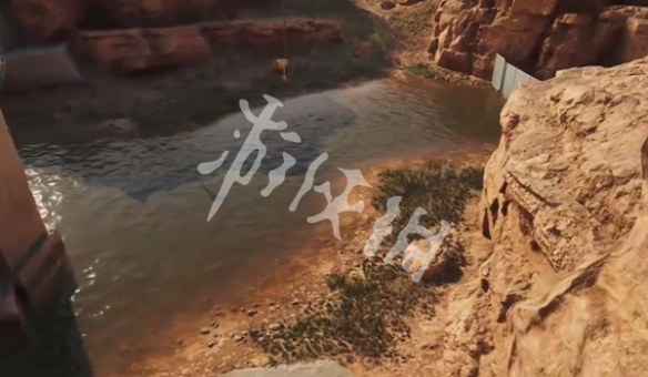 网5