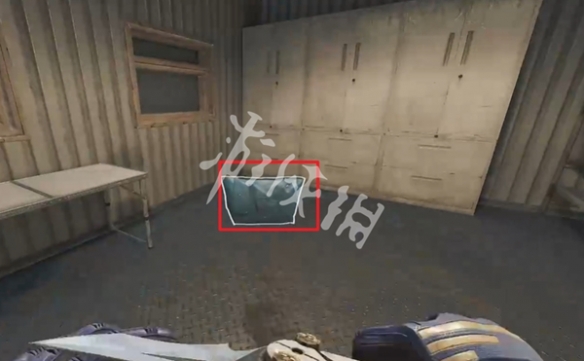 网5