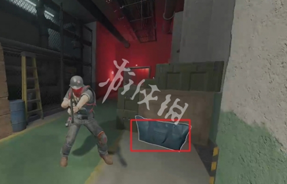 网14