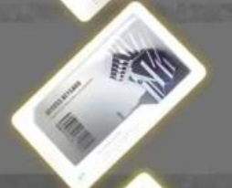 网10